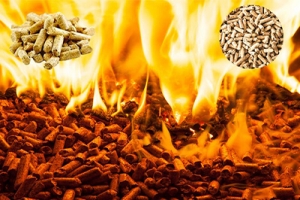 Biomasa – czym charakteryzuje się ten produkt