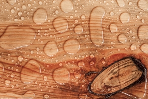 Jak sprawdzić wilgotność drewna – jaka wilgotność jest optymalna?