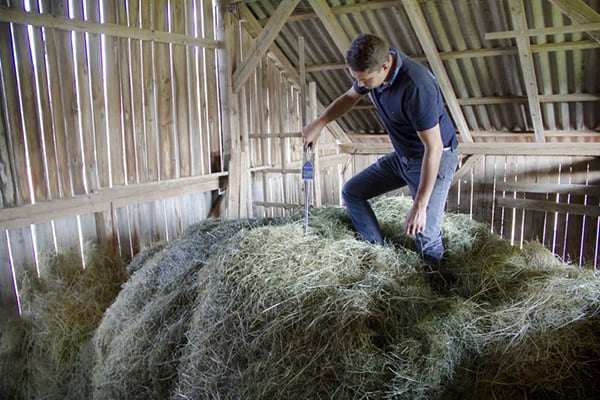 Pomiar wilgotności stogu siana