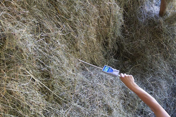 Mierzenie wilgotności stogu siana