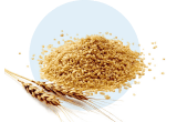 Moisture meters for grain, food and special crops