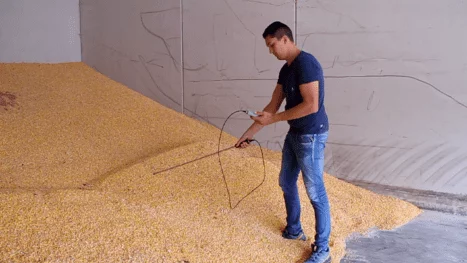 Measuring grain moisture in a&nbsp;store with the humimeter RHL ram-in probe